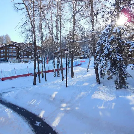 Divisible Pour 4 Pers, Vue Sur Sapins, Animaux Admis - Fr-1-353-90 * La Plagne-Tarentaise