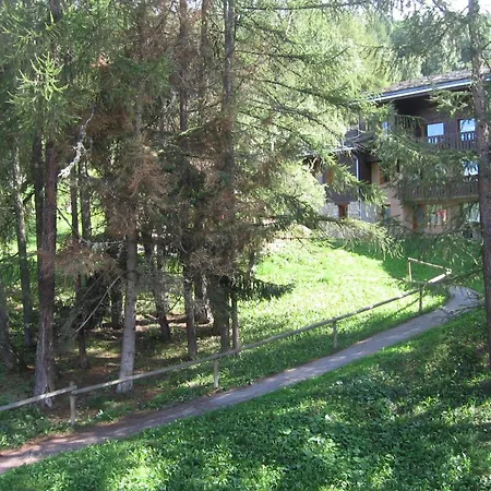 Apartment Divisible Pour 4 Pers, Vue Sur Sapins, Animaux Admis - Fr-1-353-90